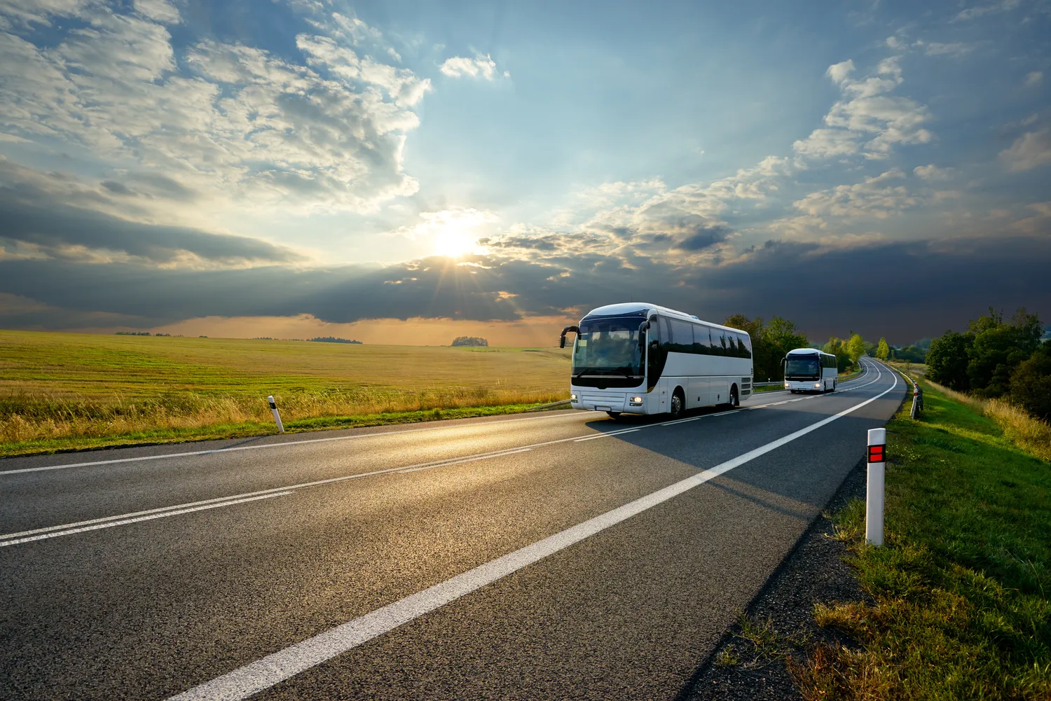 Wynajem autobusu z kierowcą cena Szczecin