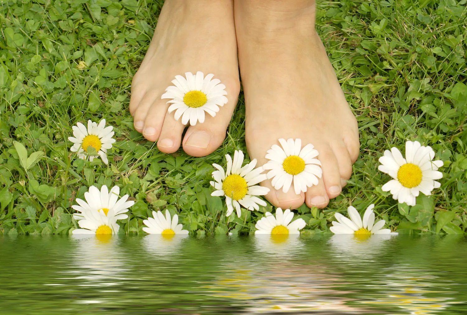 Czym są oraz jak radzić sobie z usuwaniem modzeli?